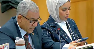 ‘১৩ লাখ রোহিঙ্গাকে আশ্রয় দেয়ার বোঝা আর বহন করতে পারছে না বাংলাদেশ’